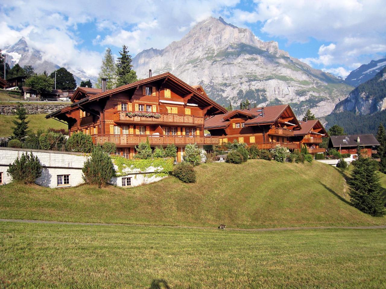 Apartment Chalet Cortina By Interhome Grindelwald Zewnętrze zdjęcie